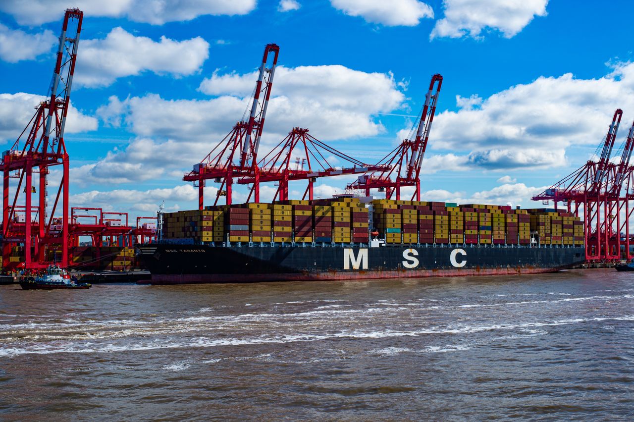 A large MSC container ship docked at a bustling industrial port with cranes and bright sky.